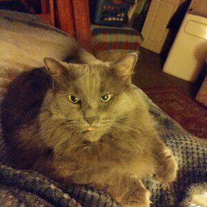 Meet your Posher, Tina